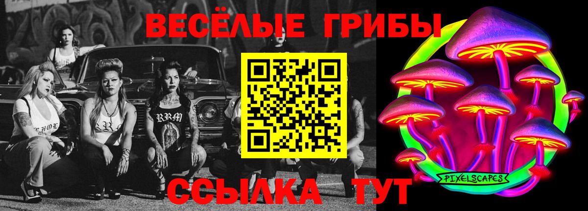 Красноармейск  Псилоцибиновые грибы мухоморы  Вход с VPN 